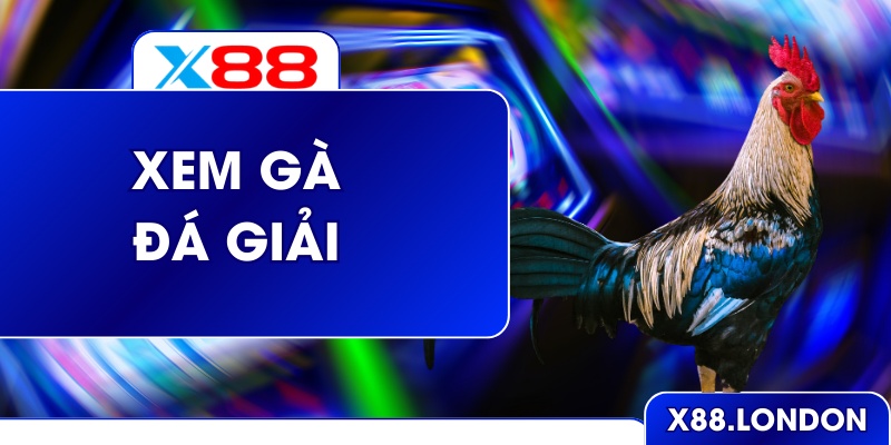 Xem Đá Gà Giải Siêu Nghẹt Thở Từng Giây Ở Nhà Cái X88 Xem Đá Gà Giải Siêu Nghẹt Thở Từng Giây Ở Nhà Cái X88